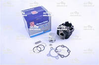 Yamaha 65cm3 JOG AXIS APRIO Minarelli (Ø44, p-10) ЦПГ в комплекті "SEE"