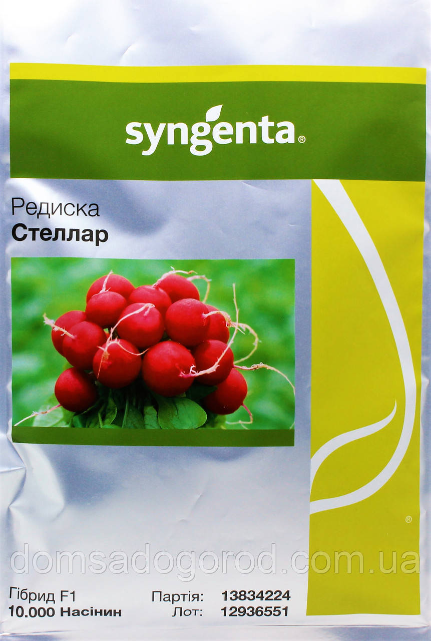 Редис СТЕЛЛАР F1 Syngenta 10 000 т.н.