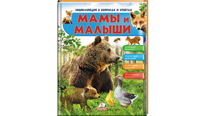 Пегас НФЕ Мами і малюки ВЕДМІДЬ УКР, фото 1