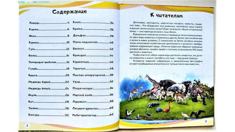 Пегас НФЕ Мами і малюки ВЕДМІДЬ УКР, фото 2