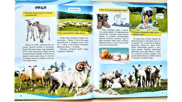 Пегас НФЕ Мами і малюки ВЕДМІДЬ УКР, фото 3