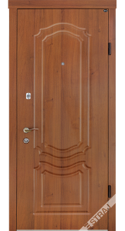 Двері вхідні Berez Модель B101