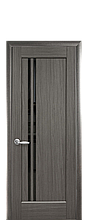 Дверне полотно Делла Сірий із чорним склом