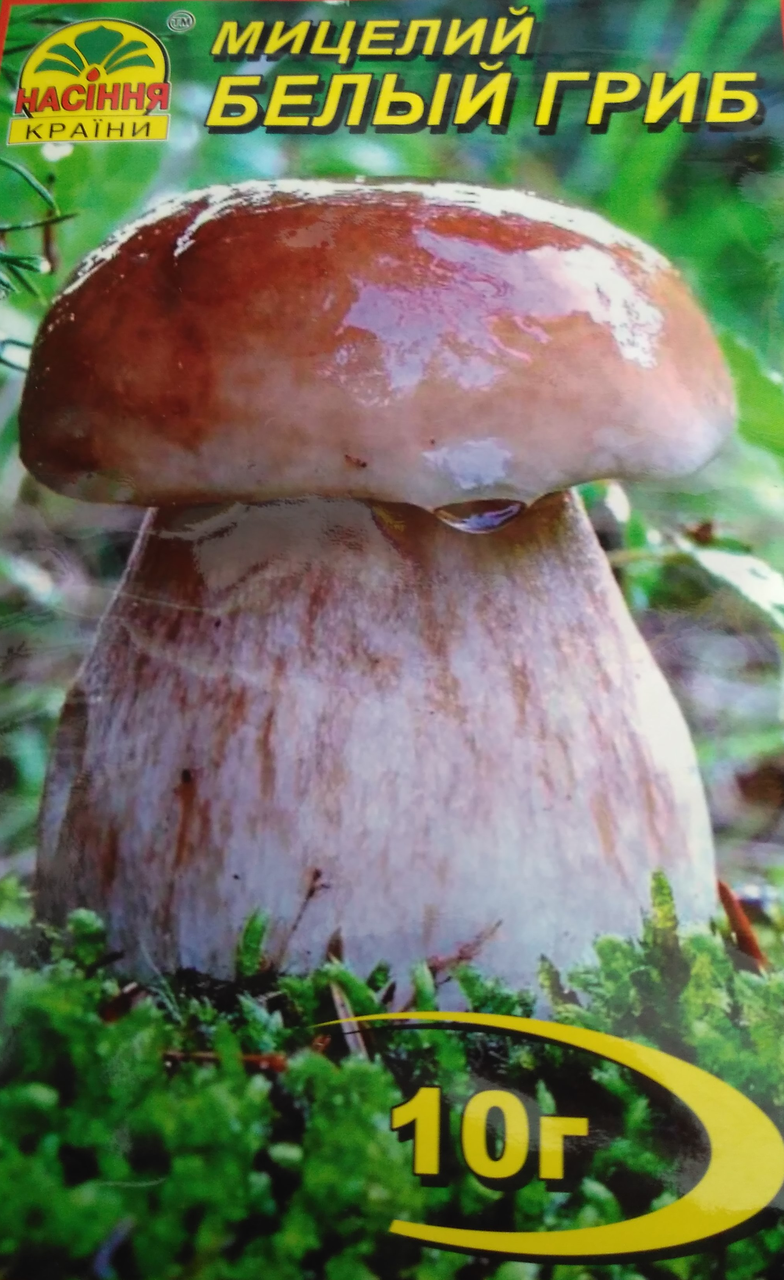 Міцеля гриба Білий Боровик 10 г
