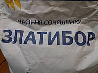Соняшник Златибор стійкий до семи рас заразах. Насіння Златибор стійке до засухи Юг Агролідер. Екстра, фото 4