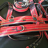 Амуніція упряж червона в карету,оздоблена,ручна робота, фото 3