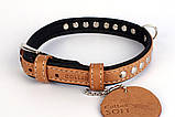 CoLLar SOFT Нашийник КОЛЛАР СОФТ з металевими прикрасами, коричневий. довжина 30-39 см/20 мм, фото 4