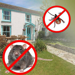 Засоби від гризунів і птахів