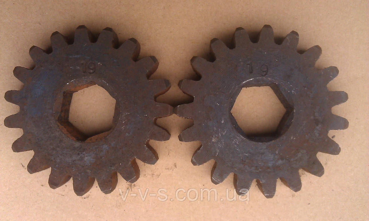 Шестерня Z-19 Тодак СТВ.50.00.22-04