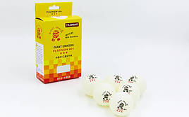 Набір м'ячів для настільного тенісу 6 штук GIANT DRAGON PLATINUM 40+3* MT-6560