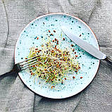 КІНОА темна насіння для пророщування та вживання в їжу 50 гр, фото 3