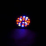 Світлодіодна фитолампа Venom 28W SMD5730, фото 3