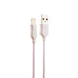 C12 Smart Dual USB Charger Set (Apple), фото 2