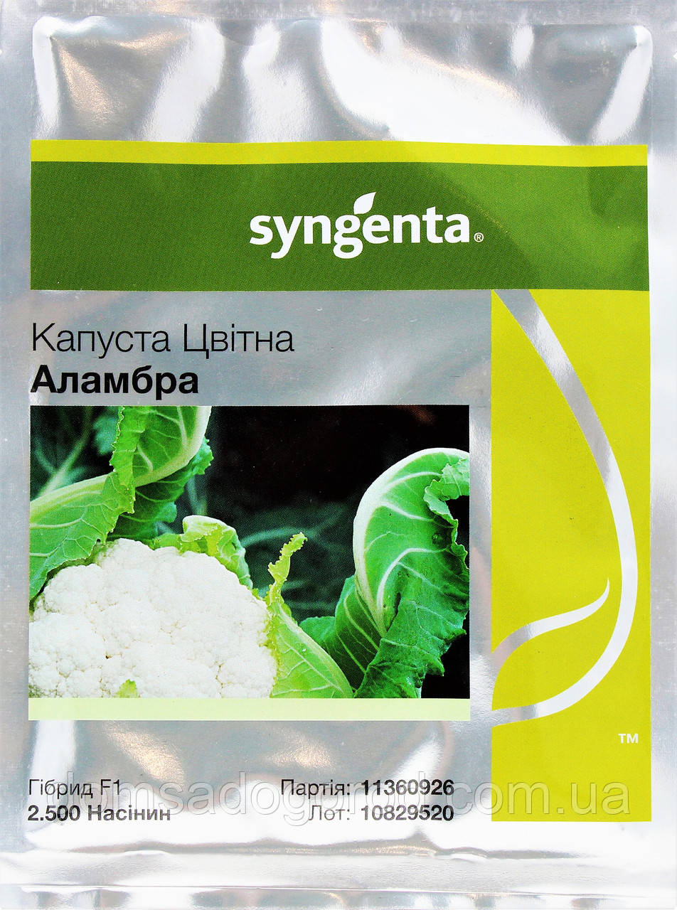 Капуста АЛАМБРА F1 Syngenta 2500 шт.
