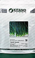 Цибуля на перо ВУЛКАН / VULKAN Kitano Seeds 20 грам