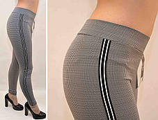 Лосини сірі в дрібну точку зі смугою, фото 2