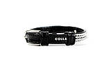 CoLLar BrillianceНашийник «Полотно стрази» чорний, довжина 21-29 см/ 12 мм, фото 3