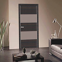 Двері міжкімнатні Cortex Alumo 04 graphite wenge line, фото 3