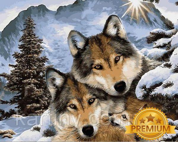 Картини по номерам 40х50 см. Babylon Premium (кольорове полотно + лак) Родина сірих вовків