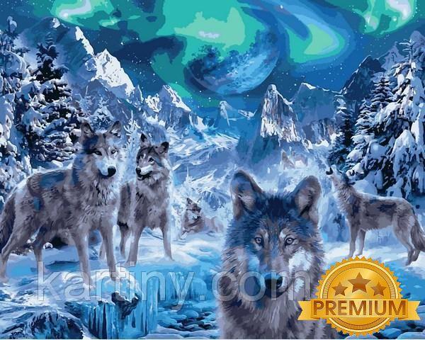 Картини по номерам 40х50 см. Babylon Premium (кольорове полотно + лак) Полярне сяйво художник Ян Патрік Червоний