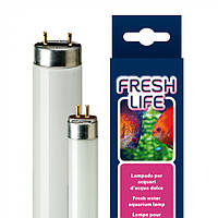 FRESHLIFE 54W T5