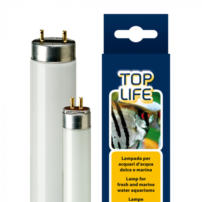TOPLIFE 54W T5