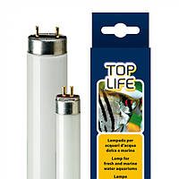 TOPLIFE 39W T5