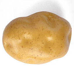 Картопля штучна муляж 10 см