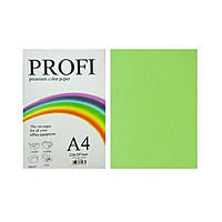 Бумага А4 PROFI Mix Neon 80гр/100л 10 цветов по 10 листов
