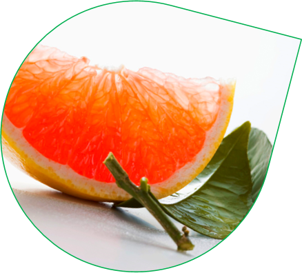 Компонент гелю Биотускин Грейпфрут Грейпфрут