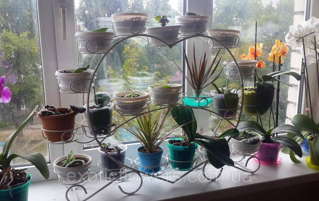 Подставка для Цветов на 20 Чаш "Фиалка-2" — Купить Недорого на Bigl.ua ...