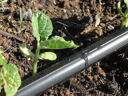 Крапельна стрічка щілинна Super Drip Tape D16х0,20 крок 10см 500м, фото 2