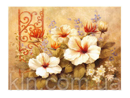 Картина за номерами Menglei Гібіскус MG298 40 х 50 см, фото 1