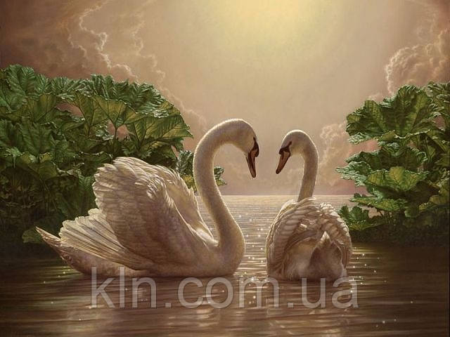 Картина за номерами Menglei Любов (лебеді) КН301 40 х 50 см