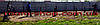 Гвинтова паля (гвинтова сова), геошуруп, багатовіткова, діаметром 76 мм завдовжки 2.5 метра, фото 6