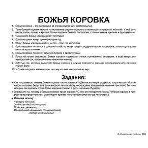 Подарунковий набір навчальних карток Світ тварин, фото 4