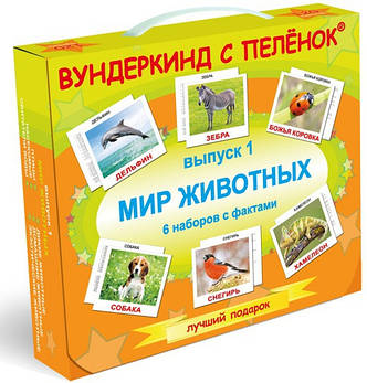 Подарунковий набір навчальних карток Світ тварин, фото 1