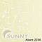 Рулонні штори для вікон у відкритій системі Sunny, тканина Akant, фото 4