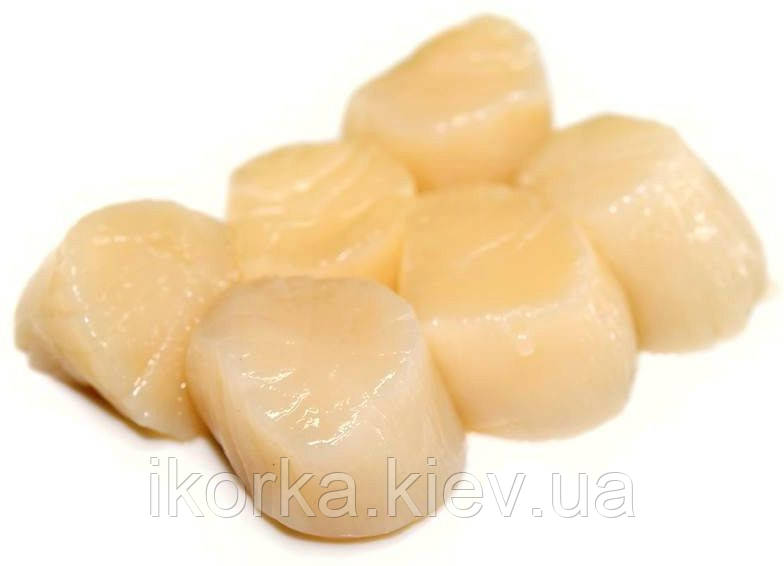Гребінець м'ясо