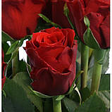 Троянда Преміум, Н 77 см, силікон, Штучна квітка, Дніпропетровськ, фото 4