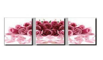 Картина за номерами Menglei Триптих. Рожеві троянди MT3025 50 х 150 см