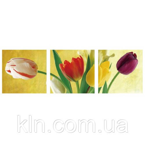 Картина за номерами Menglei Триптих. Різнобарвні тюльпани MT3075 50 х 150 см, фото 1