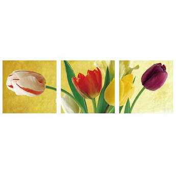 Картина за номерами Menglei Триптих. Різнобарвні тюльпани MT3075 50 х 150 см