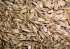 Одне й двовальцьові плющілки зерна, фото 9