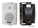 Всепогодна акустика DV Audio PB-4.2T White корпусні вулична колонка 8 Ом 20 Вт 100 В, фото 9