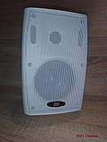 Всепогодна акустика DV Audio PB-4.2T White корпусні вулична колонка 8 Ом 20 Вт 100 В, фото 3
