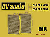 Всепогодна акустика DV Audio PB-4.2T White корпусні вулична колонка 8 Ом 20 Вт 100 В, фото 11