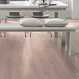 Sand Oak, фото 4