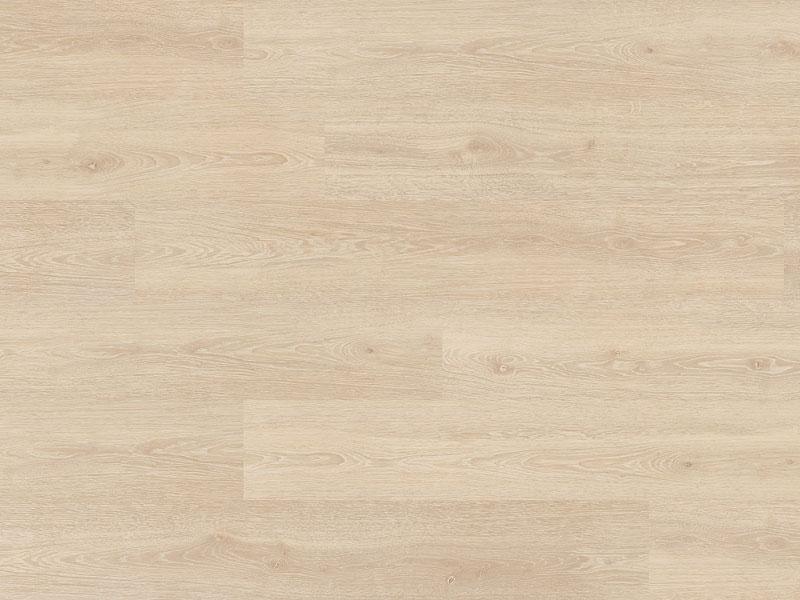 Sand Oak