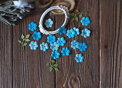 Набір кольорів Незабудки